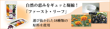 �t�@�[�X�g�E���[�t
